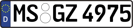 MS-GZ4975