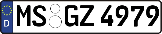 MS-GZ4979