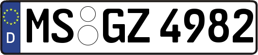 MS-GZ4982