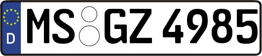MS-GZ4985