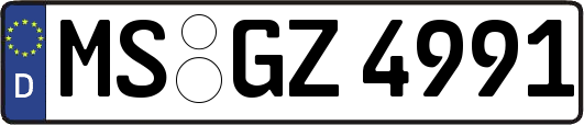 MS-GZ4991