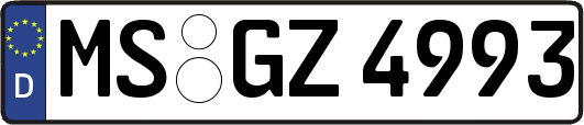 MS-GZ4993
