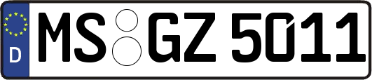 MS-GZ5011