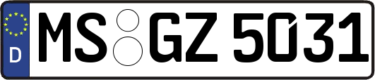 MS-GZ5031