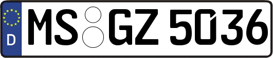 MS-GZ5036
