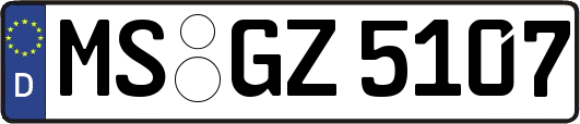 MS-GZ5107