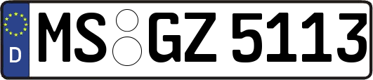MS-GZ5113