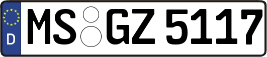 MS-GZ5117