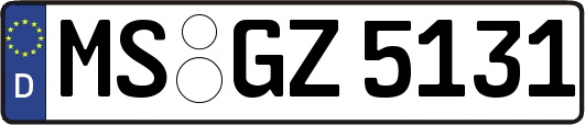 MS-GZ5131