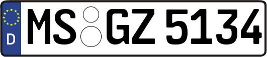 MS-GZ5134