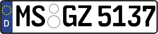 MS-GZ5137