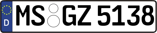 MS-GZ5138