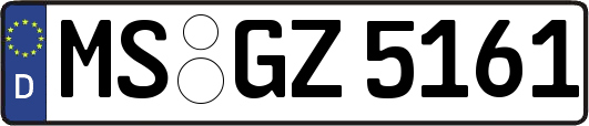 MS-GZ5161
