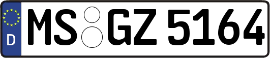 MS-GZ5164