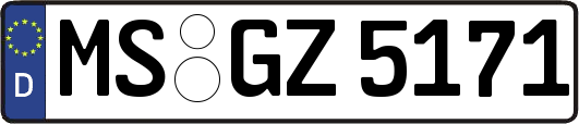 MS-GZ5171