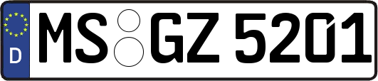 MS-GZ5201