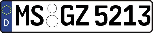 MS-GZ5213