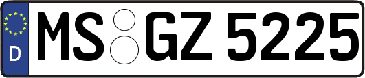 MS-GZ5225