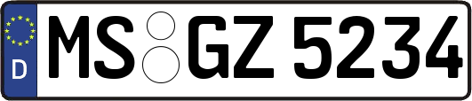 MS-GZ5234