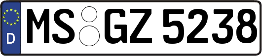 MS-GZ5238
