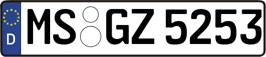 MS-GZ5253