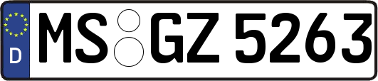 MS-GZ5263
