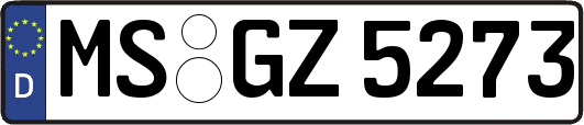MS-GZ5273