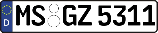 MS-GZ5311