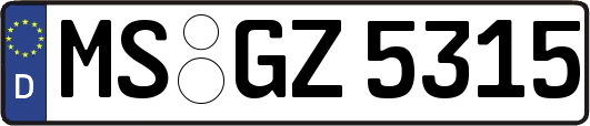MS-GZ5315