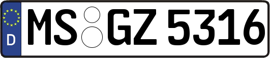 MS-GZ5316