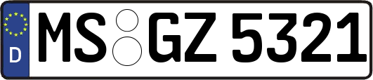 MS-GZ5321