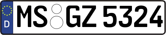 MS-GZ5324