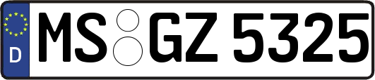 MS-GZ5325