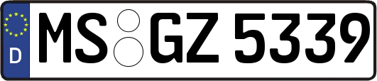 MS-GZ5339