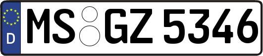 MS-GZ5346