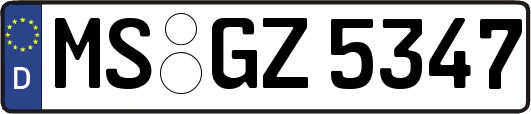 MS-GZ5347