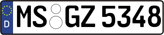 MS-GZ5348