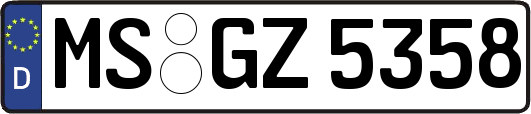 MS-GZ5358