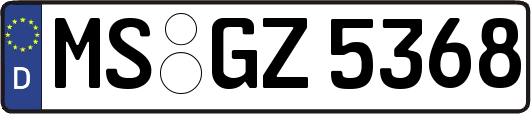 MS-GZ5368