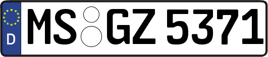 MS-GZ5371