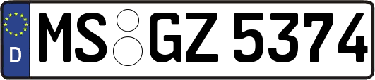 MS-GZ5374