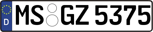 MS-GZ5375
