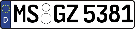 MS-GZ5381