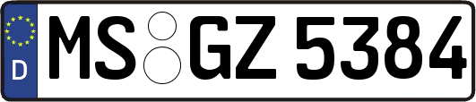 MS-GZ5384