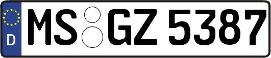 MS-GZ5387