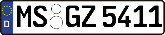 MS-GZ5411