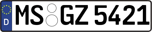 MS-GZ5421