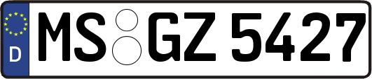 MS-GZ5427