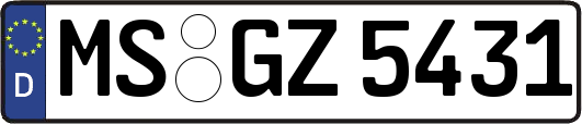 MS-GZ5431