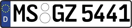 MS-GZ5441